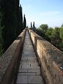 IMG_3438